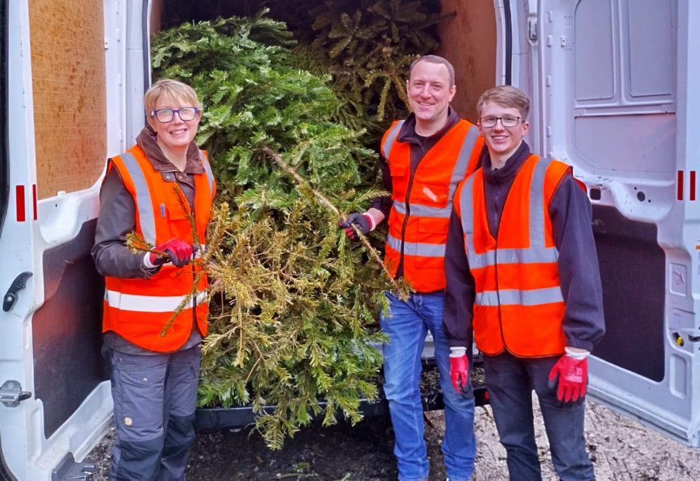 Recycle your Christmas tree with Francis House Children’s Hospice this January